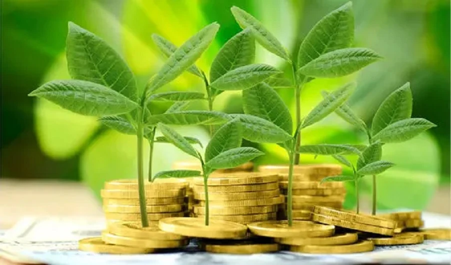 Cần một chiến lược tổng thể kết nối với các mục tiêu kinh tế xã hội